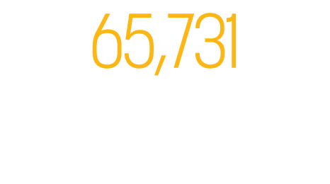 Graph - 65,731 Canadians received direct or one-on-one support through our education and information programs