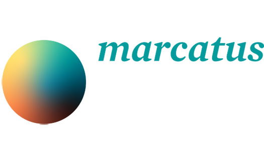marcatus