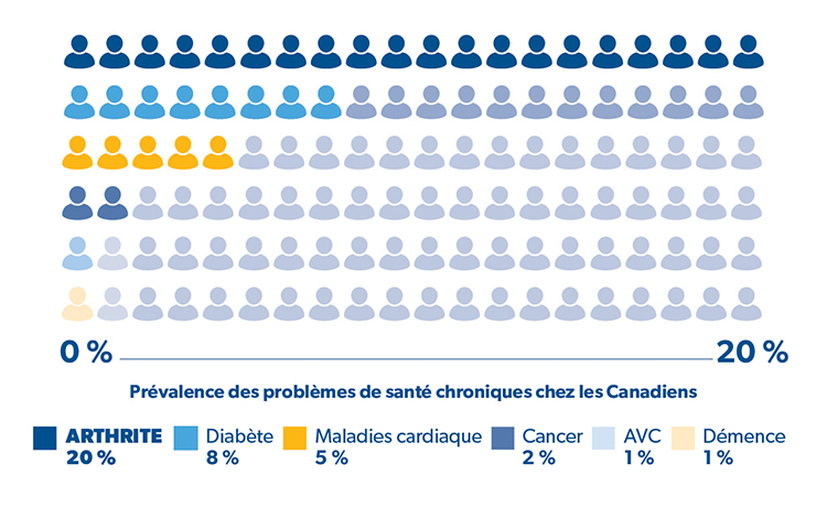 Graphique comparatif - Prévalence des problèmes de santé chroniques chez les Canadiens