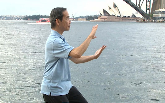 Un homme pratique le Tai Chi au bord de l'eau, surplombant l'Opéra de Sydney