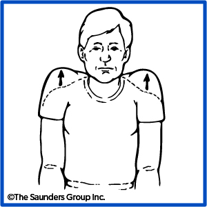 drawing of a person doing shoulder rolls