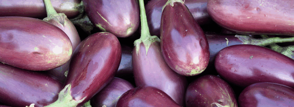 Eggplants