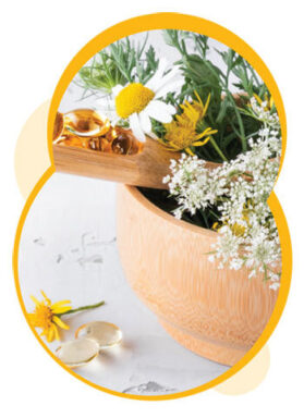 Herbal Medicine