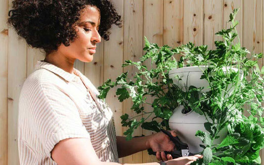 Top 10 Tips for Gardening with Arthritis